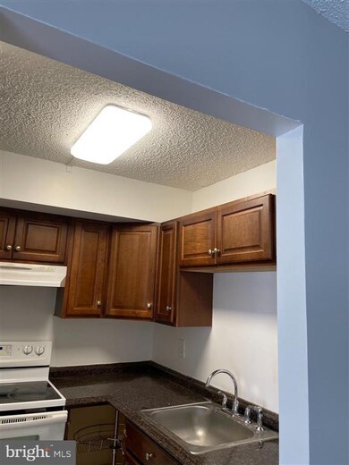 5804 Village Green Dr unit B, Alexandria, VA 22309 - photo 5