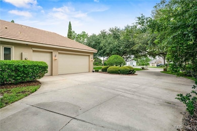 3165 W Wentworth Loop, Lecanto, FL 34461 - photo 7