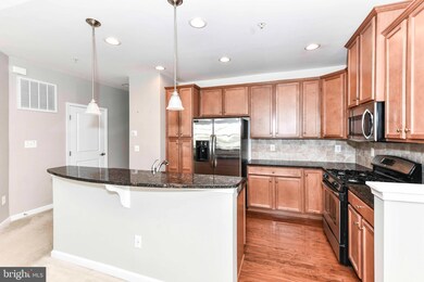 24662 Hutchinson Farm Dr, Sterling, VA 20166 - photo 4