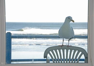 Seagull.JPG
