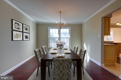 7611 Colony Ave, Laurel, MD 20707 - photo 6