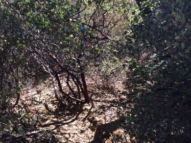 Leveled area