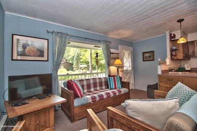 154 Sweet Briar Rd, Pocono Pines, PA 18350 - photo 5