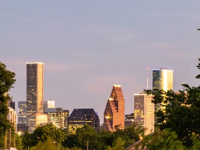 241 Royder St, Houston, TX 77009 - photo 5