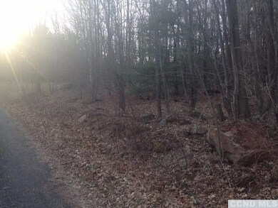 0 Slater Rd unit 108329, Maplecrest, NY 12454 - photo 5