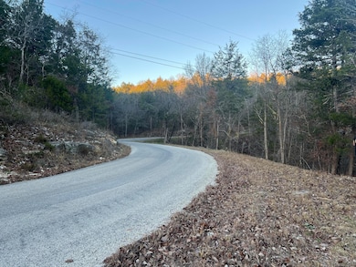 790 Pomme de Terre Rd, Scott Township, MO 65616 - photo 2