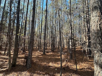 1252 Rogers Rd, Tignall, GA 30668 - photo 5