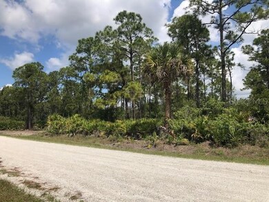 27262 Treadmill Dr, Punta Gorda, FL 33955 - photo 3