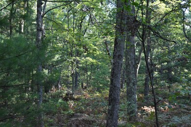 10452 N Woodbridge Ave, Bitely, MI 49309 - photo 6