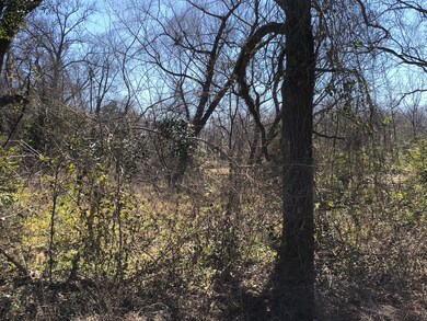 1501 De Soto St, Houston, TX 77091 - photo 4