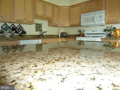 12908 Bluhill Rd, Silver Spring, MD 20906 - photo 6