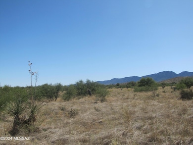 View to south