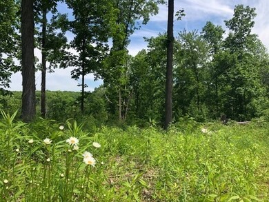 Lots R,1&2 Waite Corner & Collins Rd, North Brookfield, MA 01535 - photo 6