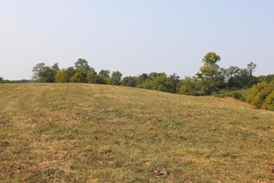 1272-X Moorefield Rd, Carlisle, KY 40311 - photo 4