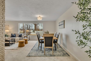 Dining space featuring a textured ceiling and light colored carpet