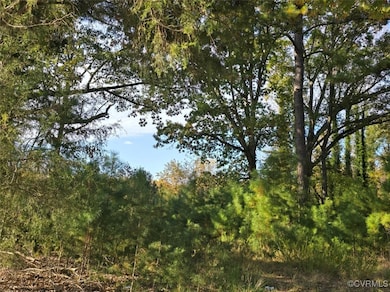 13.2 Ac Patrick Henry Hwy, Amelia Ct Hse, VA 23002 - photo 2