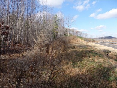 0 Lewis Thomas Rd, Grant, NC 27205 - photo 7