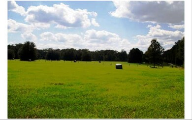 TBD 29th Rd, Branford, FL 32008 - photo 3