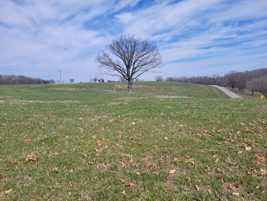 000 N Mm N, Mountain Grove, MO 65711 - photo 2