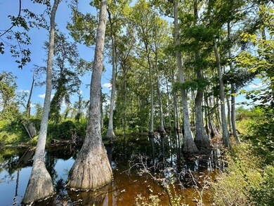 0 Highway 25 unit 11444421, Brandon, MS 39042 - photo 3