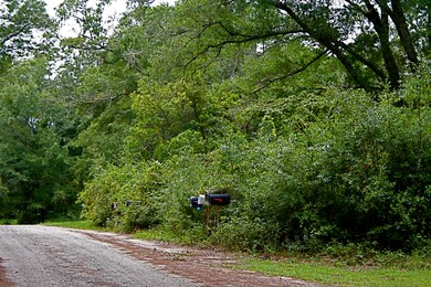 IMG_0821