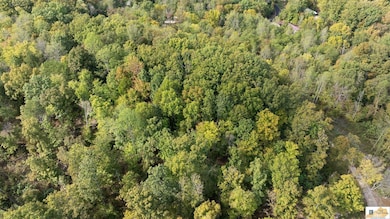 0 White Oak Rd, Cub Run, KY 42729 - photo 6