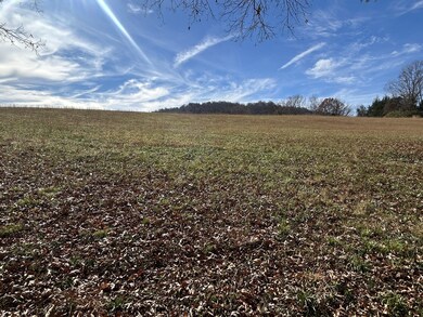 0 Hidden River Rd unit RTC3050288, Rock Island, TN 38581 - photo 3