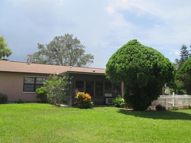 Rear View 3