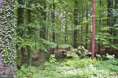 0 White Pine Ln, Cedar Mountain, VA 22701 - photo 6