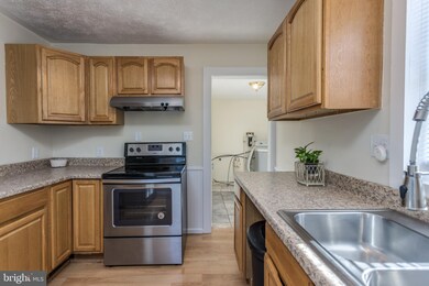 123 Harrison Ln, Winchester, VA 22602 - photo 6