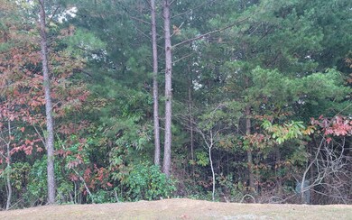 Additional View