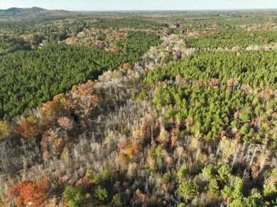 00 Crook Rd, Lincolnton, GA 30817 - photo 6