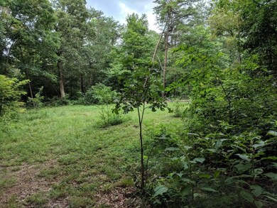 TBD Dennis Dr, Johnson City, TN 37601 - photo 5