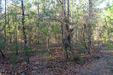 Lovel lot -- 1.3 Acres