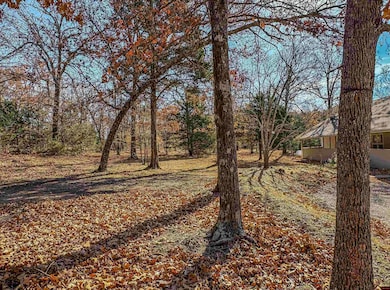 941 Mc 5025, Valley Springs, AR 72682 - photo 3