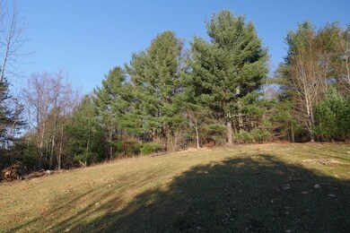 0 Trapper Dr unit LotWP001, Woodlawn, VA 24381 - photo 3