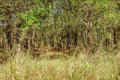 TBD1 Lacy Dr, Lipan, TX 76462 - photo 6