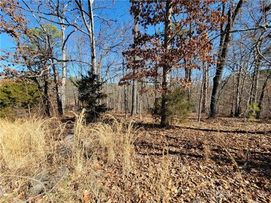 0 Kirkbridge Ln, Bella Vista, AR 72714 - photo 2