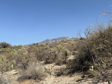 Catalina Mountain Views