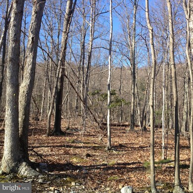 0 Battlefield Rd unit 1002812898, Strasburg, VA 22657 - photo 3