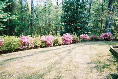 row of azalias