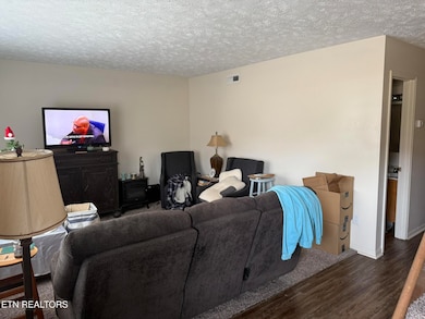 3707 Moss Ln, Louisville, TN 37777 - photo 6