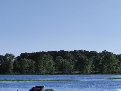 00 Cove Rd, Fayetteville, AL 35151 - photo 4