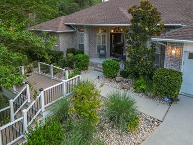 305GreyFoxCir-75
