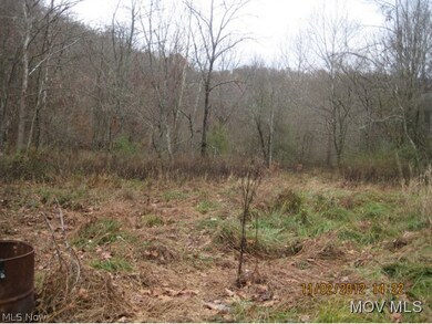 26B Hc 67, West Union, WV 26456 - photo 2