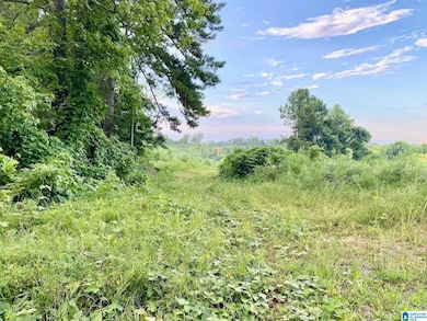 0 Johnson St unit 21425926, Heflin, AL 36264 - photo 6