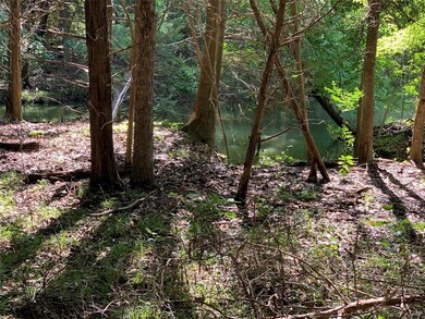 189 Cobalt Cove, Corsicana, TX 75109 - photo 5