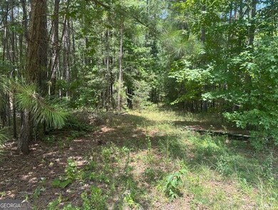 0 Edgewater Dr unit 10595879, Eatonton, GA 31024 - photo 2