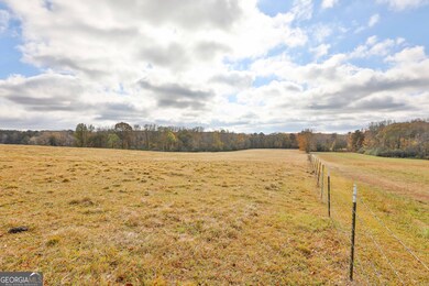 LOT 6 Mask Road - Hanner's Farm S, Brooks, GA 30205 - photo 7