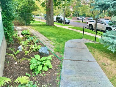 Front Yard